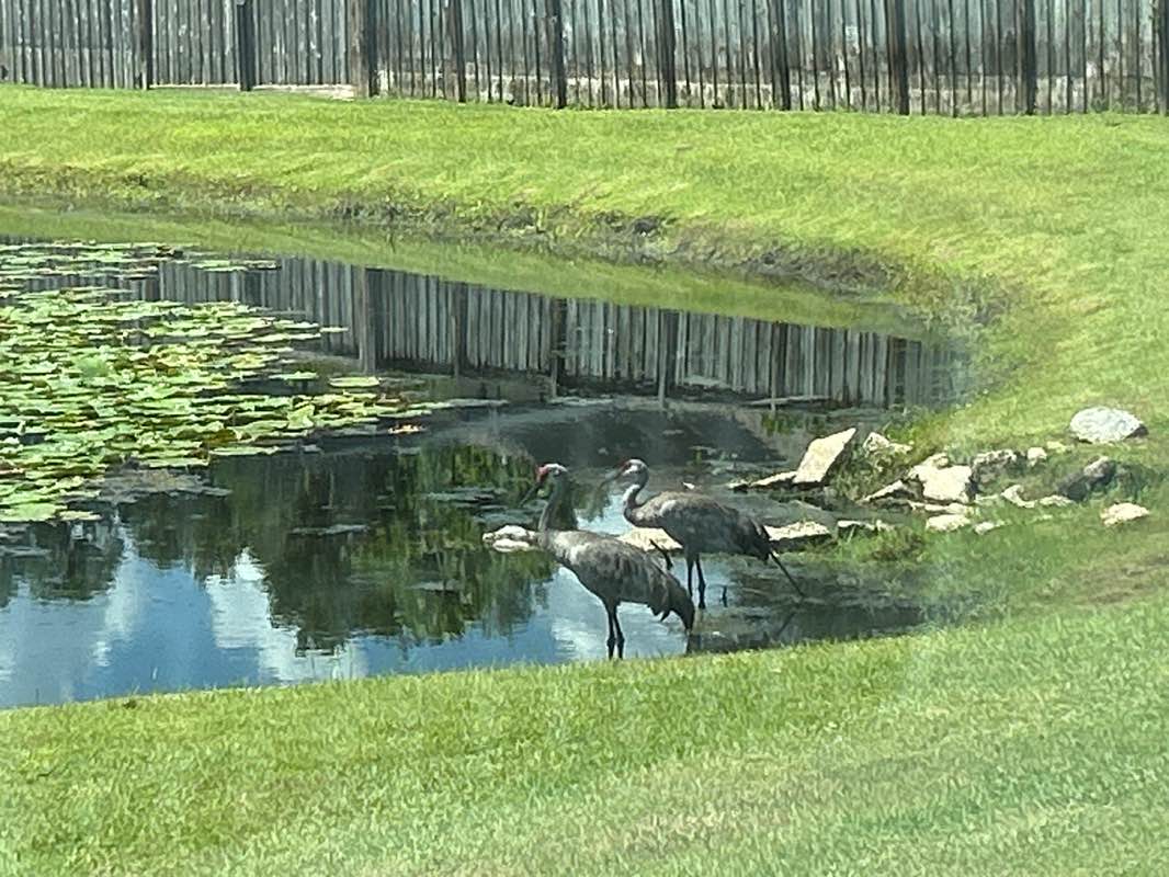 walking near me in Cross Creek Community Park in autumn