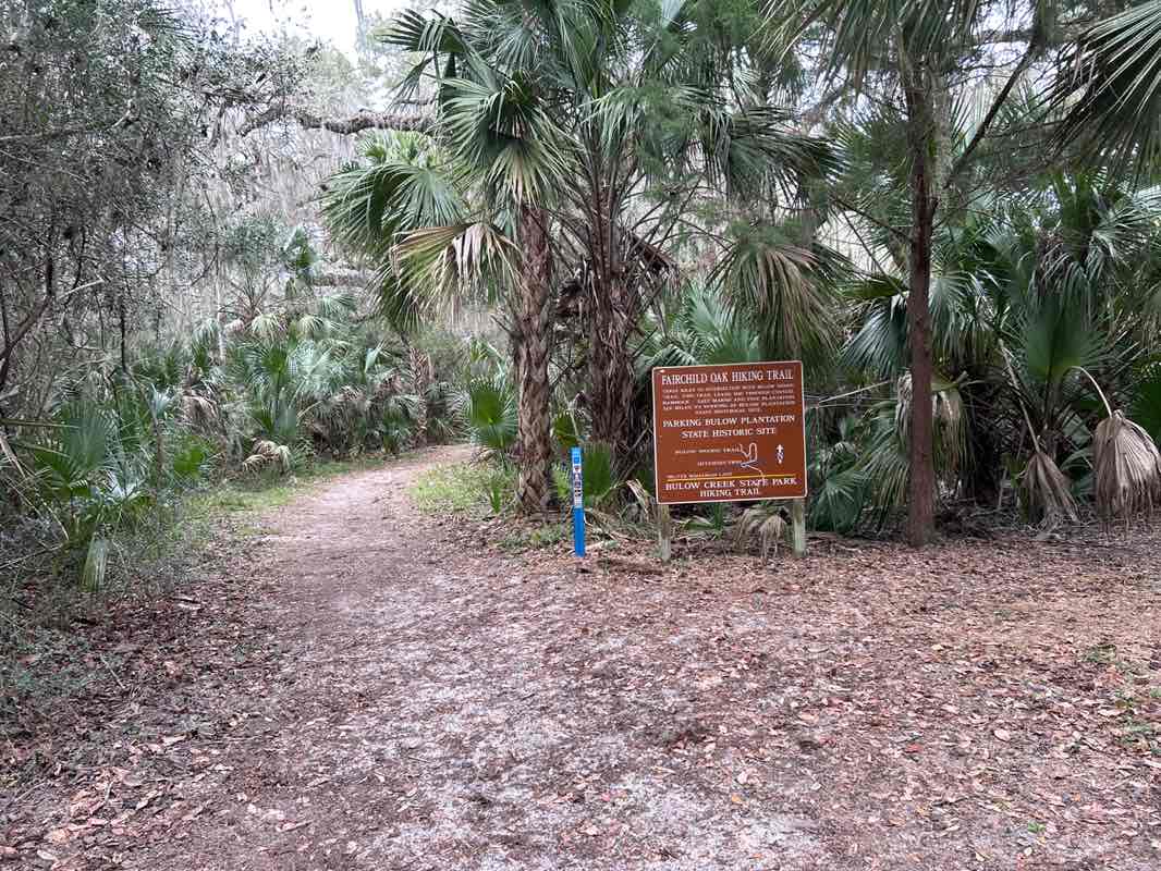 walking near me in Bulow Creek State Park in winter