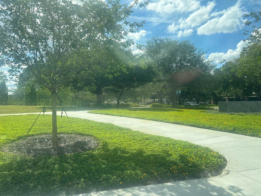 walking near me in Lake Island Park in spring