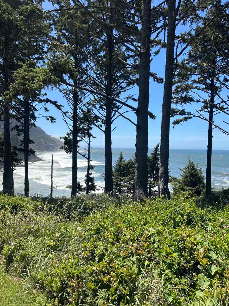 walking near me in Cape Perpetua Southeast Marine Protected Area in summer