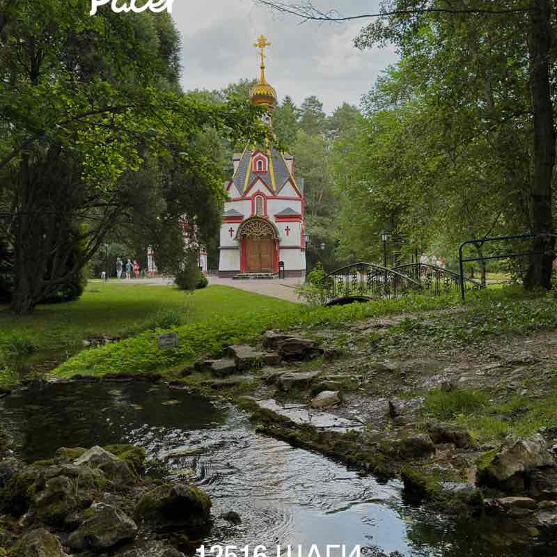 🐯Irina Z🐯 post 1