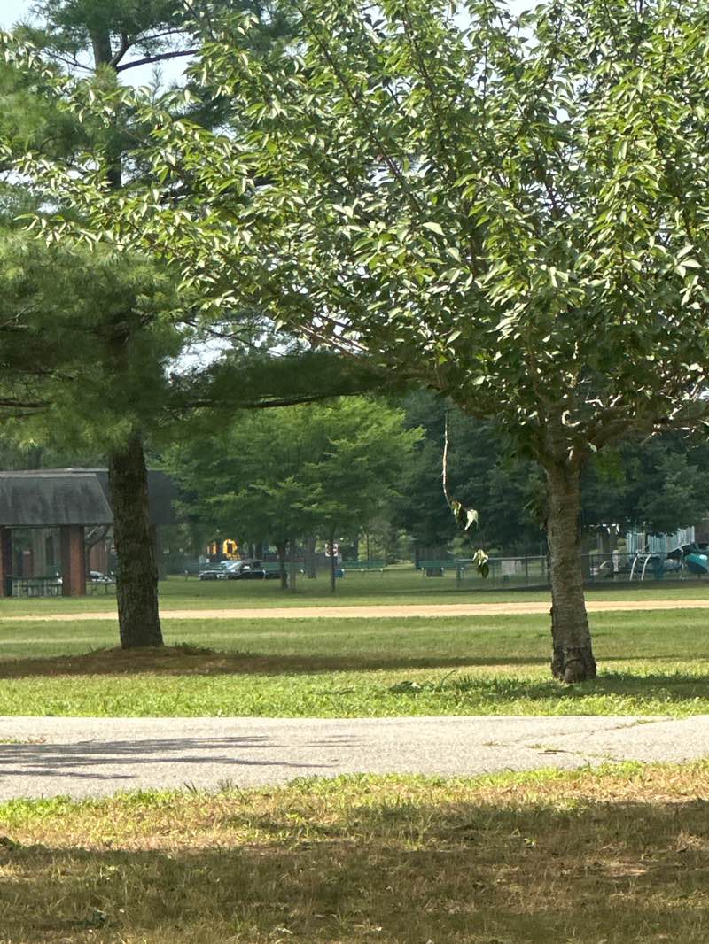 walking near me in Cedar Creek Park in summer