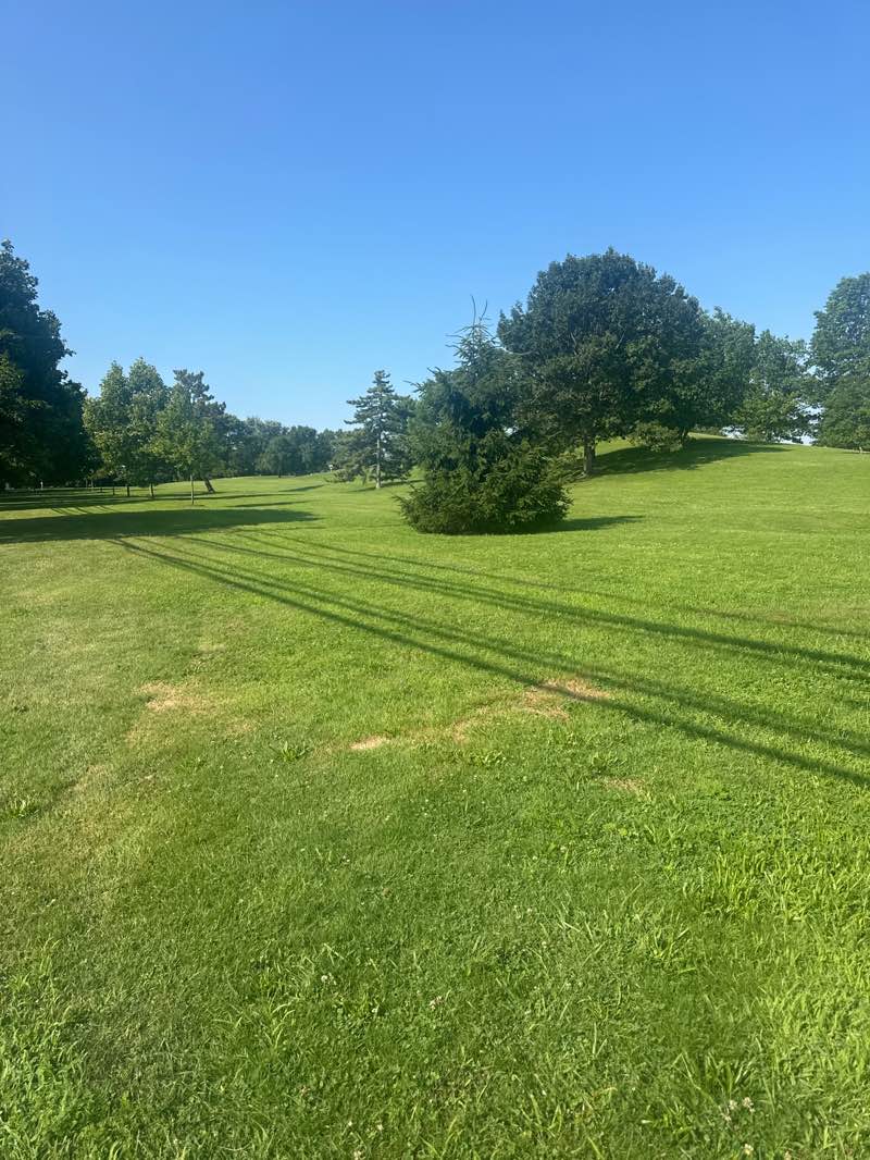 walking near me in Czescik Park in summer