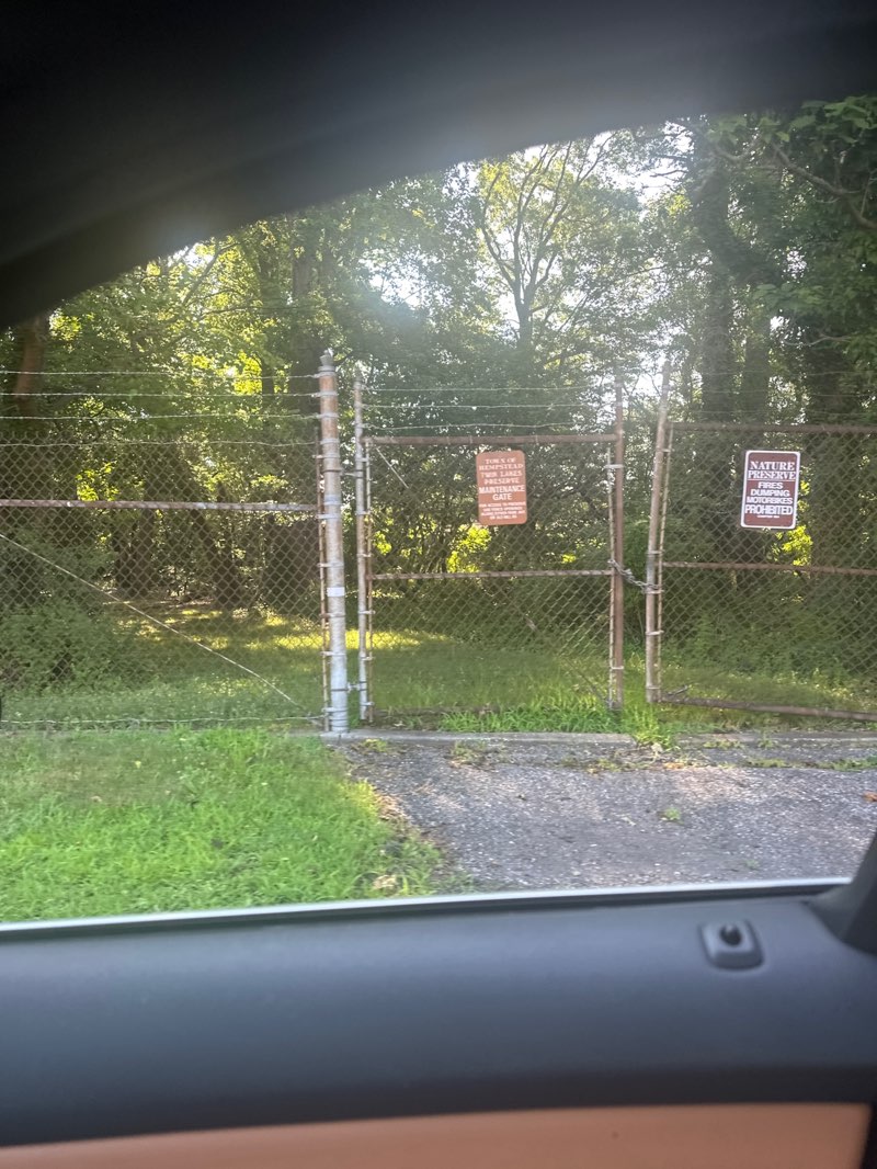 walking near me in Twin Lakes Preserve in summer