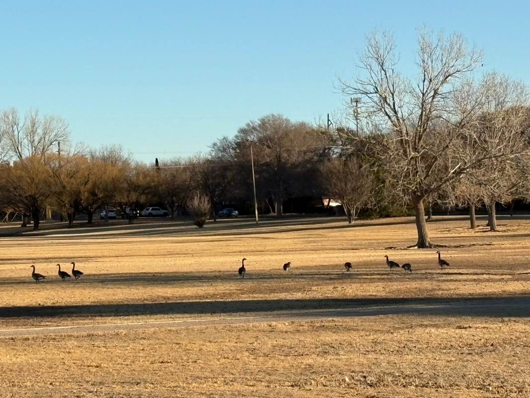 walking near me in Jan Jennings Park in winter