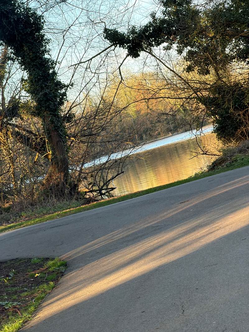 walking near me in Rickmansworth Aquadrome Local Nature Reserve in spring