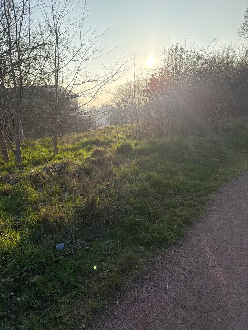 walking near me in Rickmansworth Park in spring