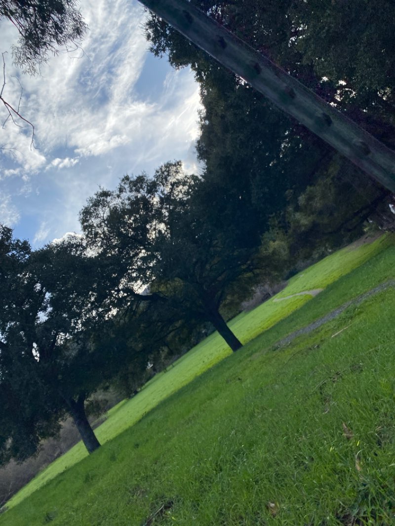 walking near me in Windy Hill Open Space Preserve in winter