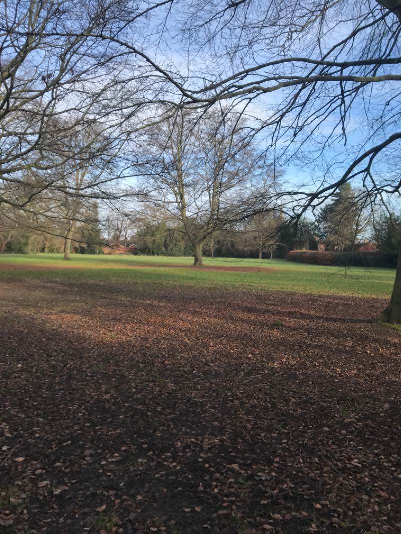 walking near me in Kings Park in winter