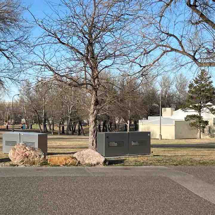 PacerGal_1955 post 1