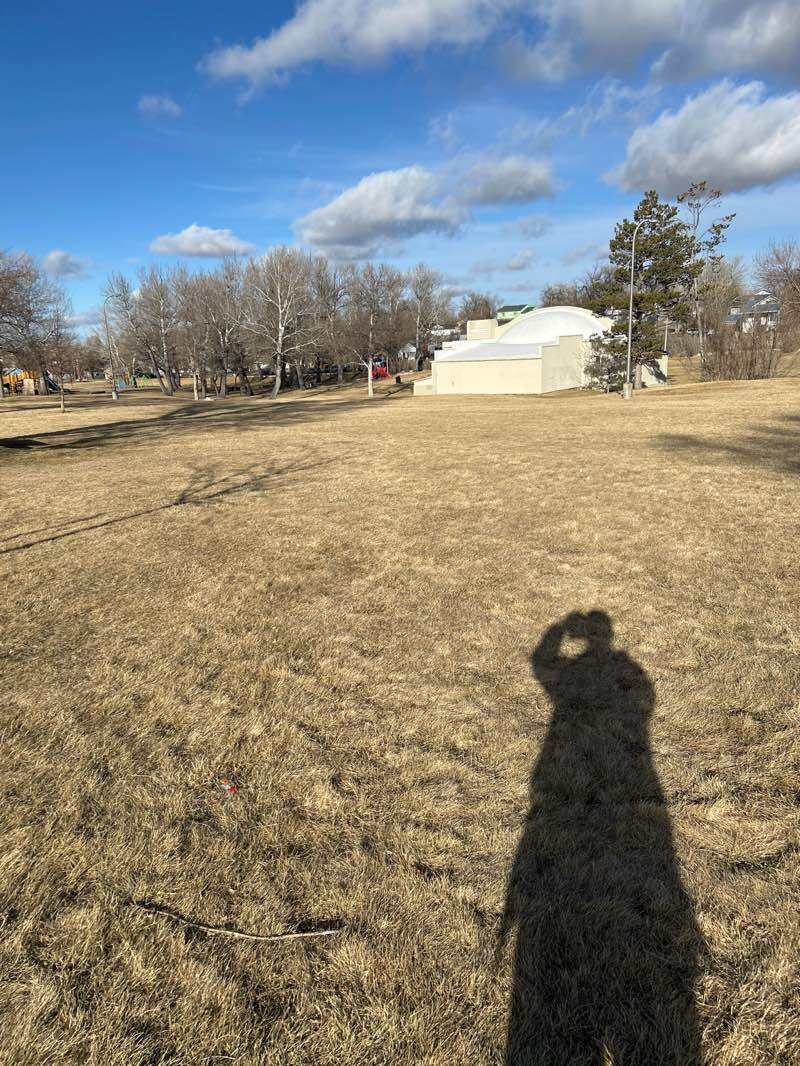 walking near me in Washington Park in spring