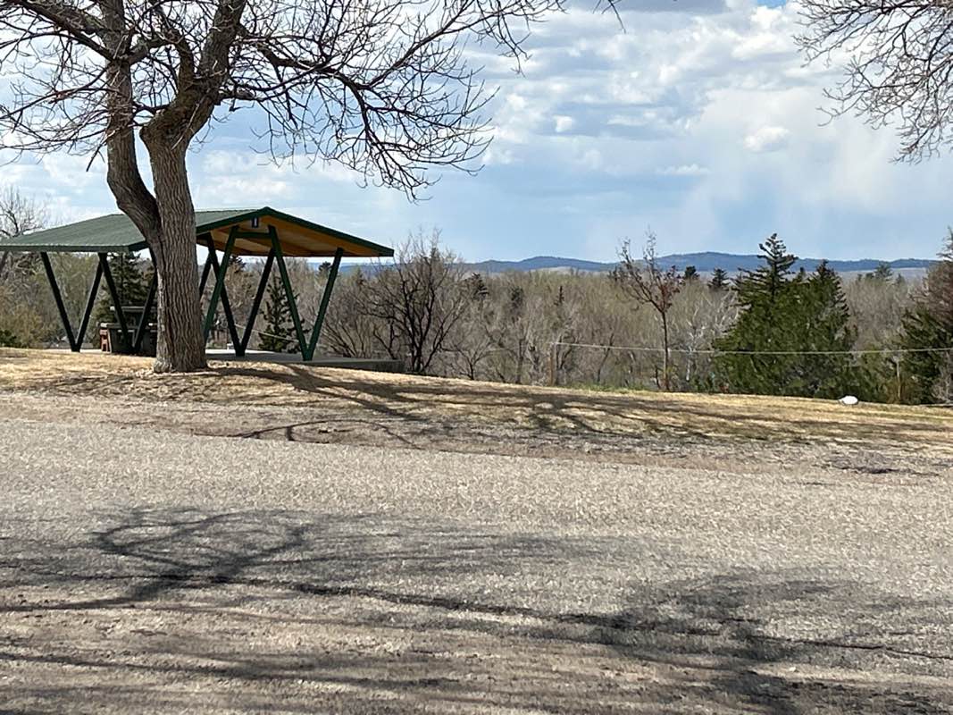 walking near me in Washington Park in spring