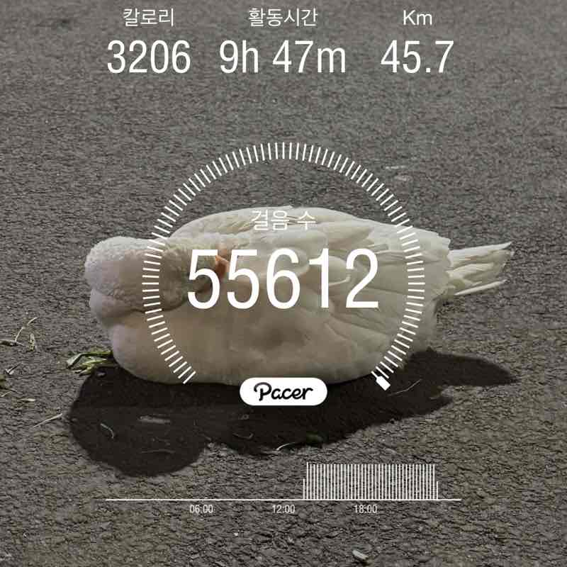 토요일만 걸어요🏃🏻‍♂️ post 1