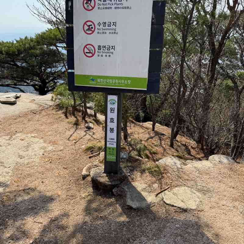 토요일만 걸어요🏃🏻‍♂️ post 3