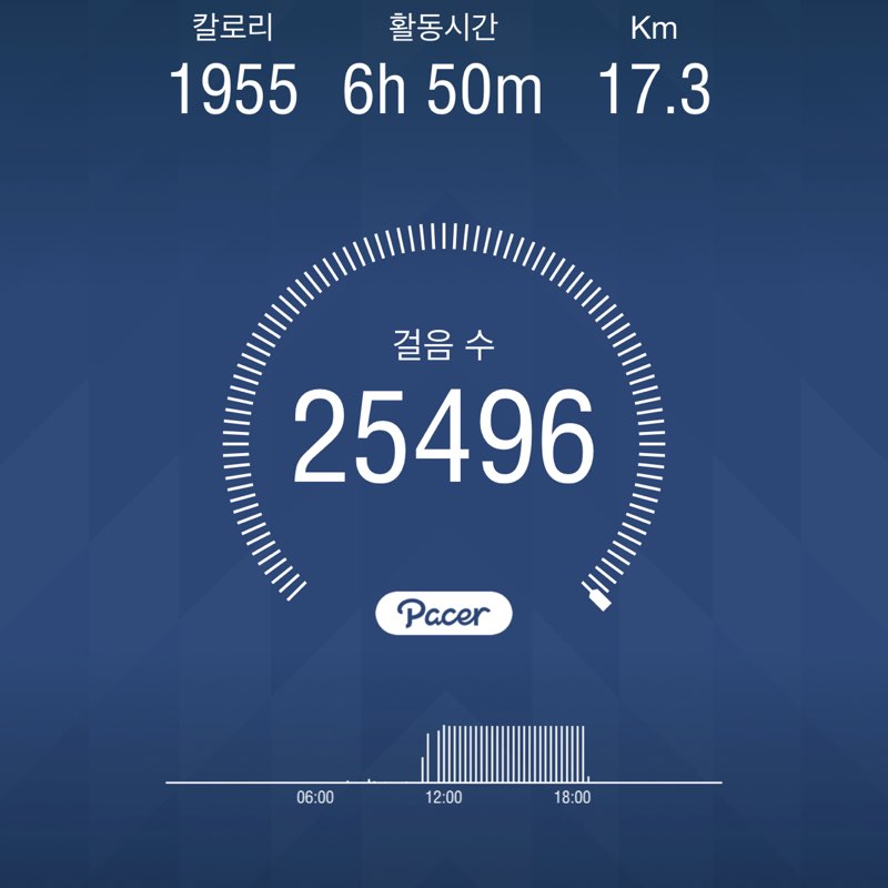 토요일만 걸어요🏃🏻‍♂️ post 1