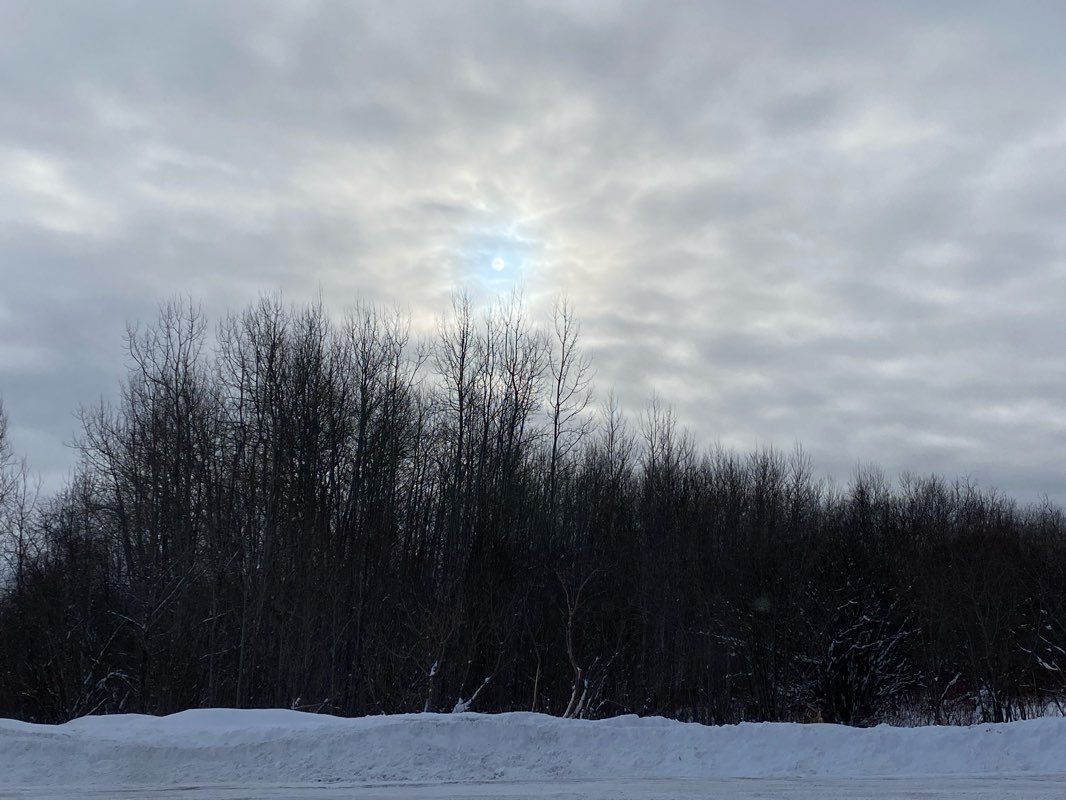 walking near me in Haileybury Beach Park in winter