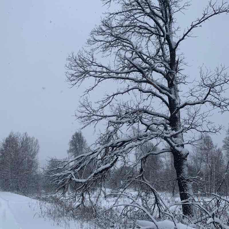 Елена🇷🇺🌹 post 1