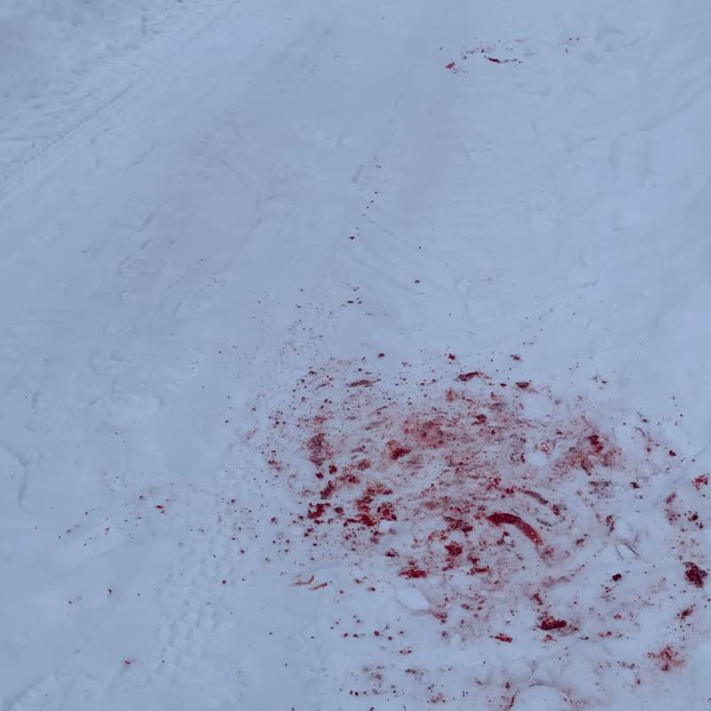 Елена🇷🇺🌹 post 3