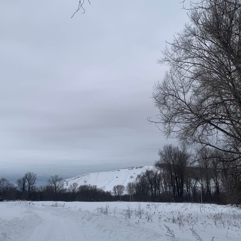 Елена🇷🇺🌹 post 3