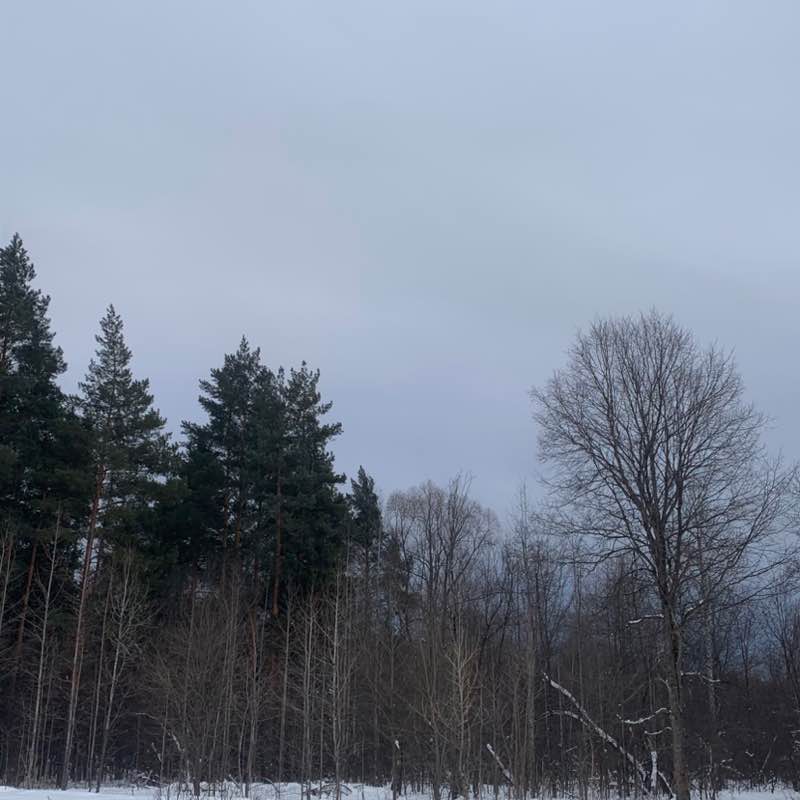 Елена🇷🇺🌹 post 1