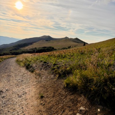 Bieszczady Skogkatt post image
