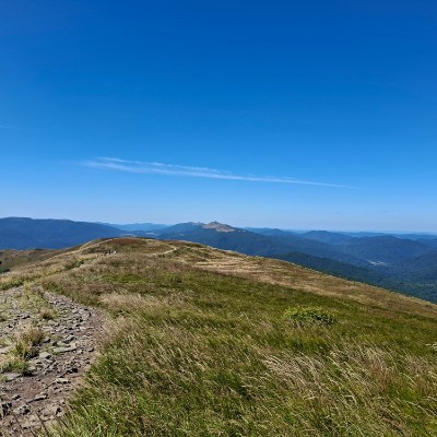 Bieszczady Skogkatt post image