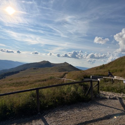Bieszczady Skogkatt post image