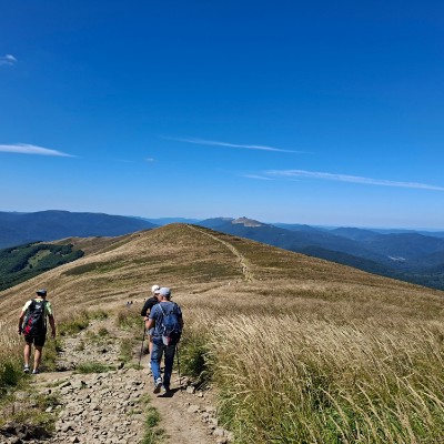 Bieszczady Skogkatt post image