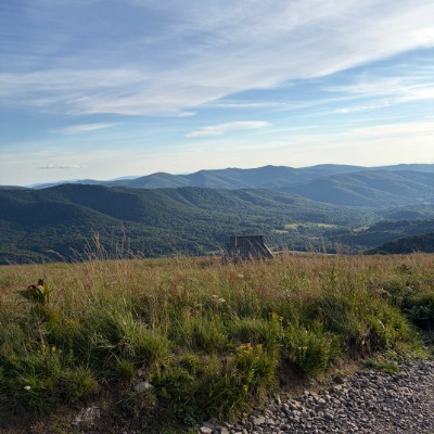 Bieszczady Skogkatt post image