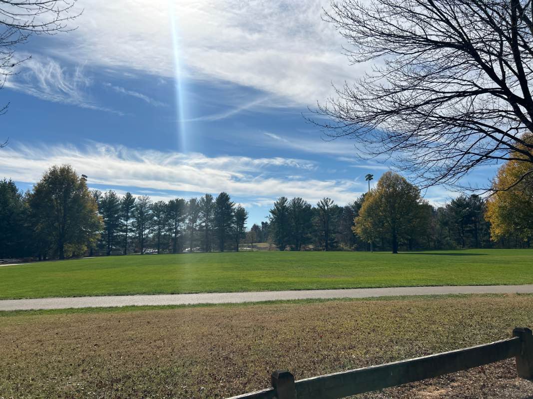 walking near me in Hollins Park in autumn