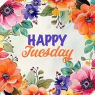 Brave Grasshoppers 🌾🌿🦗 Tom  🇪🇺🇧🇪🇬🇧 post image