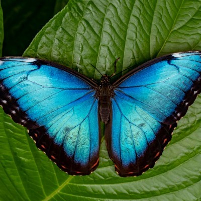 New Zealand runners! Tom  🇪🇺🇧🇪🇬🇧 post image