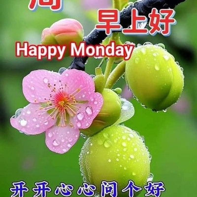 陇右LEGENDS II 🐲🏆🎆 Tom  🇪🇺🇧🇪🇬🇧 post image