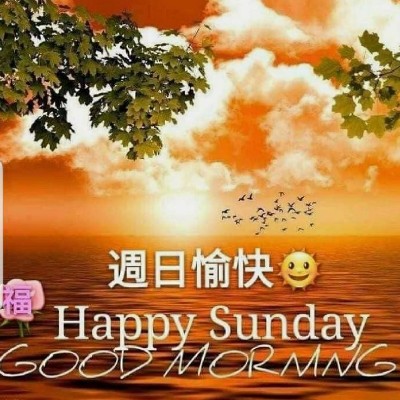 陇右LEGENDS II 🐲🏆🎆 Tom  🇪🇺🇧🇪🇬🇧 post image