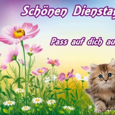 ⛔⚠️🔜Peace 💐😘🌈 Tom  🇪🇺🇧🇪🇬🇧 post image