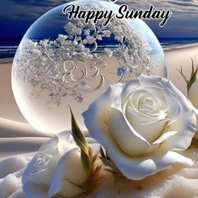 Daily Routine Tom  🇪🇺🇧🇪🇬🇧 post image