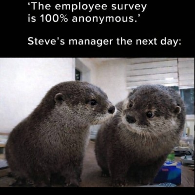 Hiking Thru Cities In History Tom  🇪🇺🇧🇪🇬🇧 post image