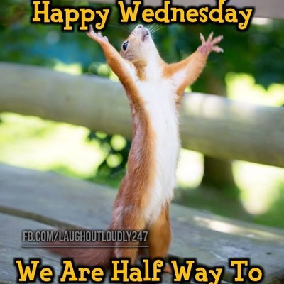 Circle of Grace Tom ๐ช๐บ๐ง๐ช๐ฌ๐ง post image