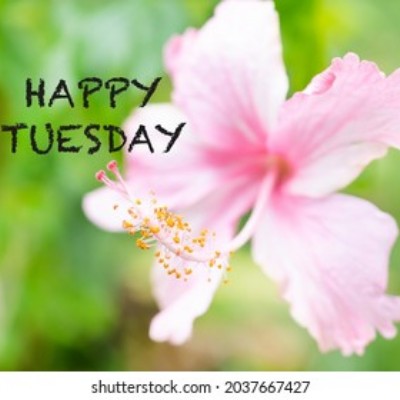 Camden Hall 🏣 Tom  🇪🇺🇧🇪🇬🇧 post image