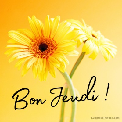 The Mad Hatters 🎩👒 Tom  🇪🇺🇧🇪🇬🇧 post image