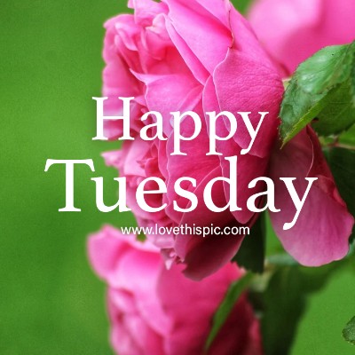 ้ๅณLEGENDS II ๐ฒ๐๐ Tom ๐ช๐บ๐ง๐ช๐ฌ๐ง post image