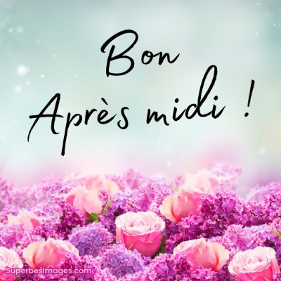 Les Vagabonds 🇨🇵🚶‍♂️🚶‍♂ Tom  🇪🇺🇧🇪🇬🇧 post image