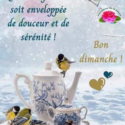 🇧🇪 BELGIUM 🖤💛❤️ Tom  🇪🇺🇧🇪🇬🇧 post image