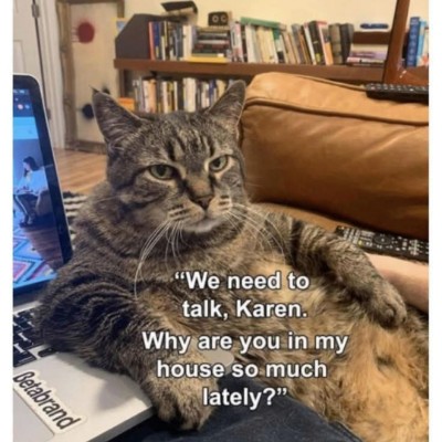 Cats 🐈🐈‍⬛ & Coffee ☕️ ☕️ Tom  🇪🇺🇧🇪🇬🇧 post image