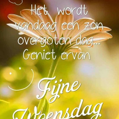 🇧🇪 BELGIUM 🖤💛❤️ Tom  🇪🇺🇧🇪🇬🇧 post image