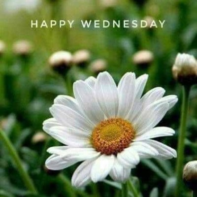 Les Vagabonds 🇨🇵🚶‍♂️🚶‍♂ Tom  🇪🇺🇧🇪🇬🇧 post image