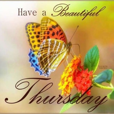 🇧🇪 BELGIUM 🖤💛❤️ Tom  🇪🇺🇧🇪🇬🇧 post image