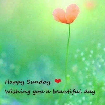 🇧🇪 BELGIUM 🖤💛❤️ Tom  🇪🇺🇧🇪🇬🇧 post image