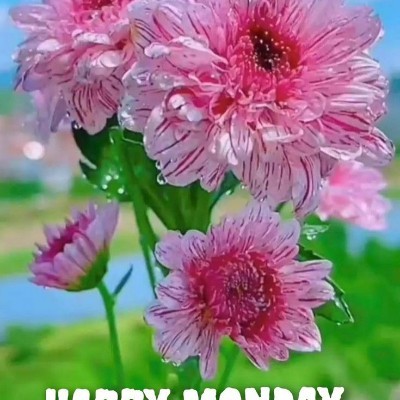 South African ๐ฟ๐ฆ Steppers Tom ๐ช๐บ๐ง๐ช๐ฌ๐ง post image