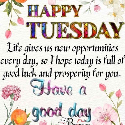 South African ๐ฟ๐ฆ Steppers Tom ๐ช๐บ๐ง๐ช๐ฌ๐ง post image